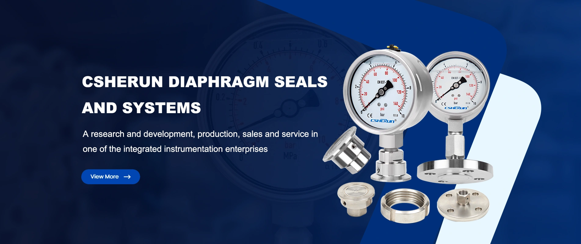 Diaphragm Seals Factory