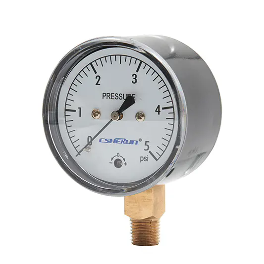 How Does a Capsule Pressure Gauge Work?