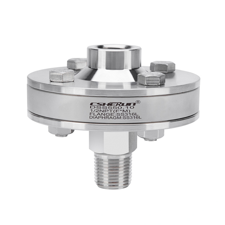 Diaphragm Seal With Thread Connection
