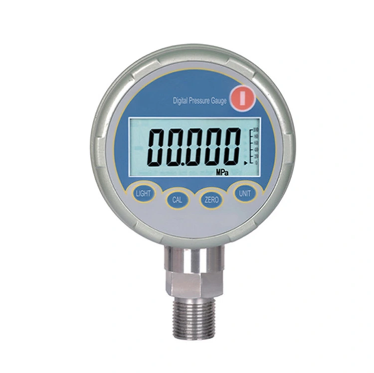 Digital Pressure Gauges